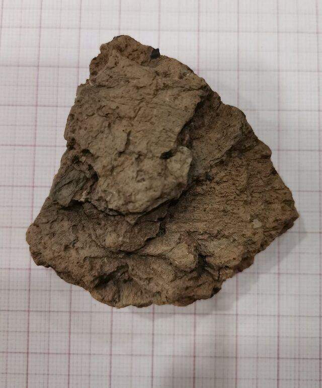 Nuh'un Gemisi'nin indiği yerde arkeologlar tarafından yapılan keşif heyecan yarattı: 7 bin yıl önce de yaşamışlar