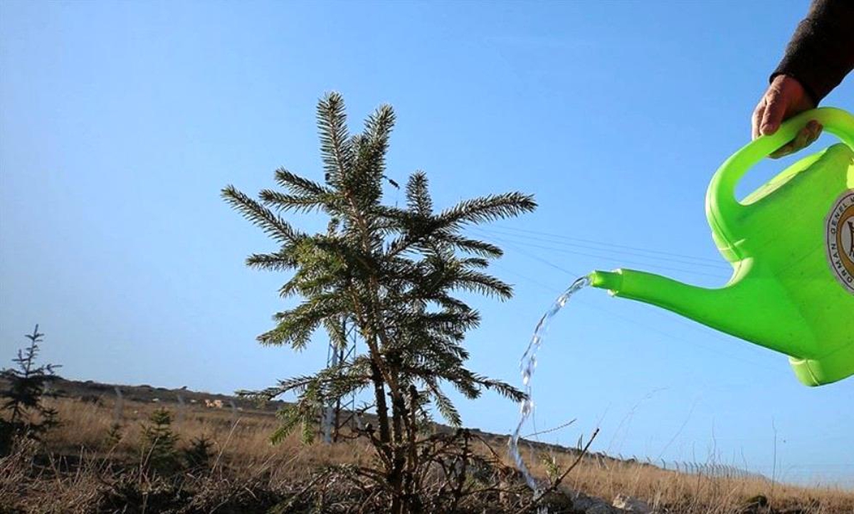 Son dakika haberleri! Orman Genel Müdürü Karacabey yangınlara ilişkin açıklamada bulundu - Vimarsana News