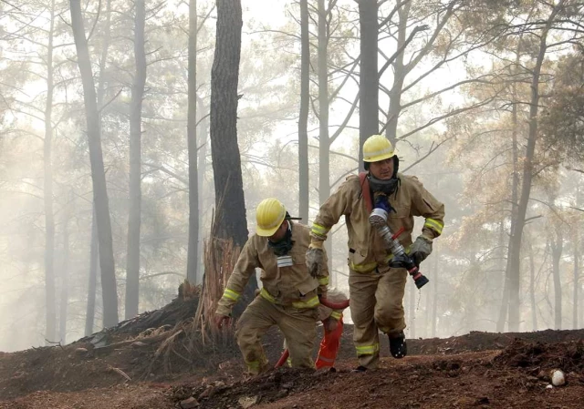 Son dakika haberleri! Orman Genel Müdürü Karacabey yangınlara ait açıklamada bulundu