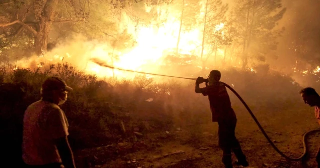 Son dakika haberleri! Orman Genel Müdürü Karacabey yangınlara ait açıklamada bulundu