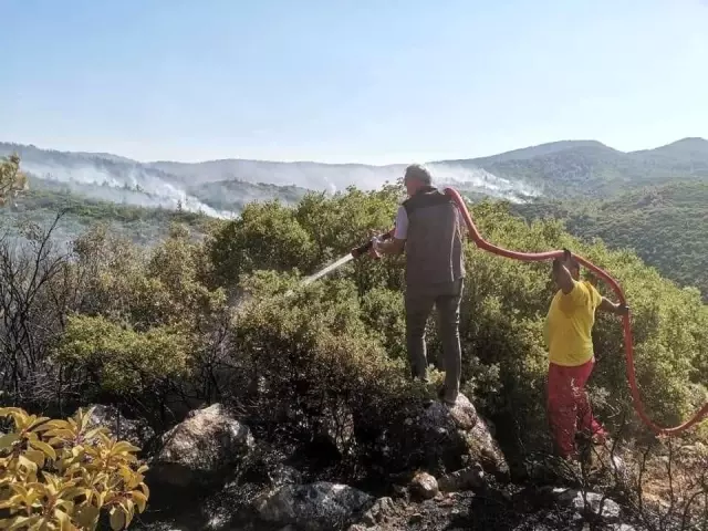 Son dakika haberleri! Orman Genel Müdürü Karacabey yangınlara ait açıklamada bulundu