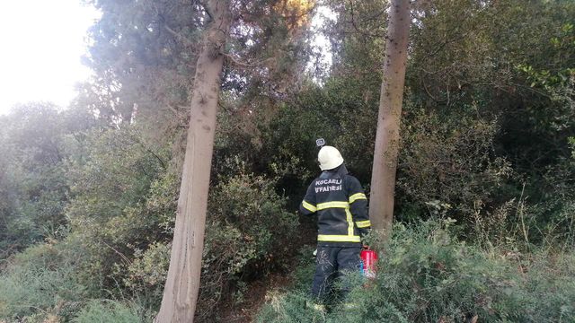 ormanlik alanda yeniden cikan yangini muhtar 14329985 o