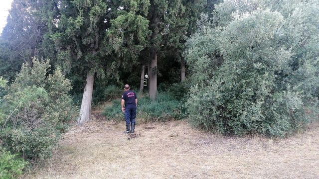 ormanlik alanda yeniden cikan yangini muhtar 4 14329985 o