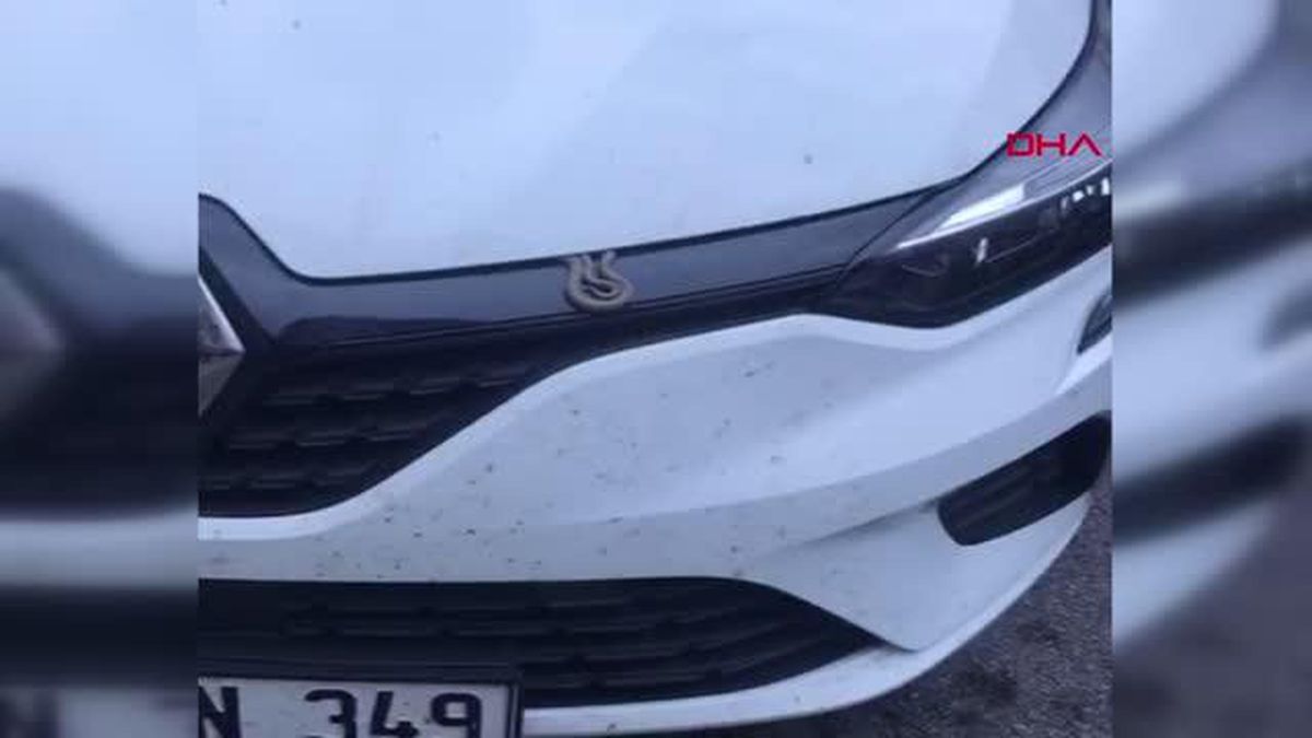 Otomobilin motoruna giren yılan paniğe neden oldu