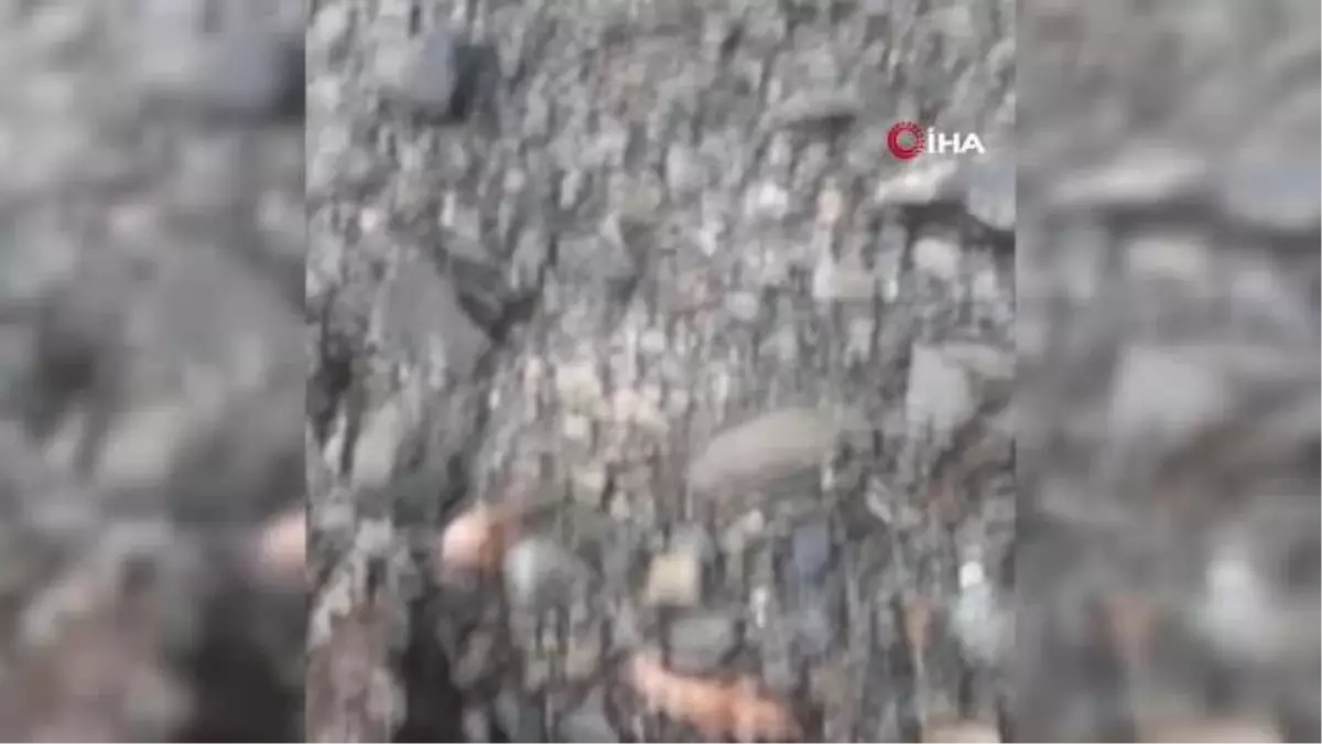 Şavşat'ta trafoya yıldırımın düştüğü anlar cep telefonu kamerasında: 37 köyün elektiriği kesildi