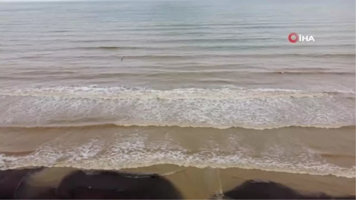 Son dakika haberleri! Sel sonrası deniz ve sahil çamura büründü