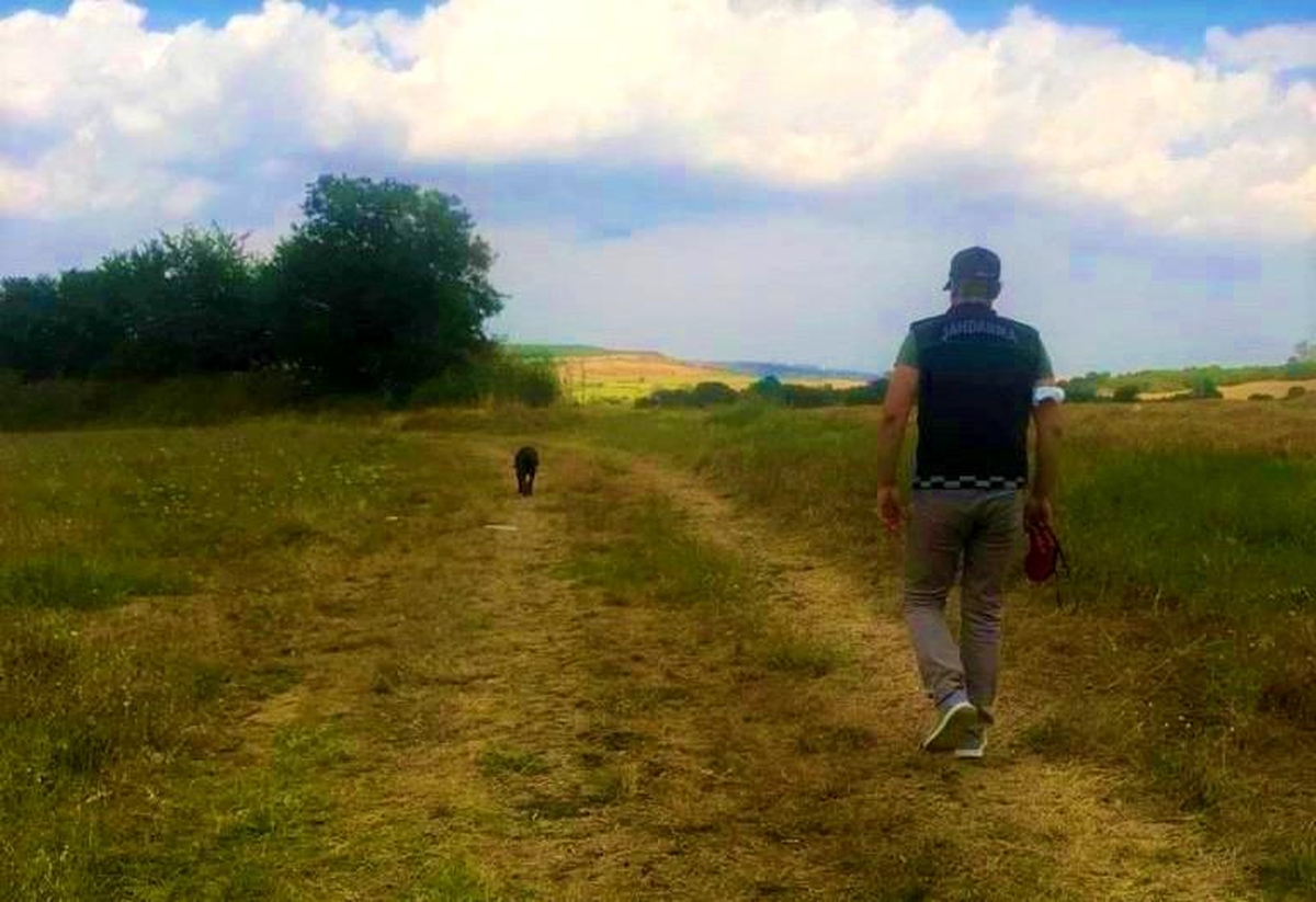 Tekirdağ'da kaybolan muhasebeci aranıyor - Vimarsana News