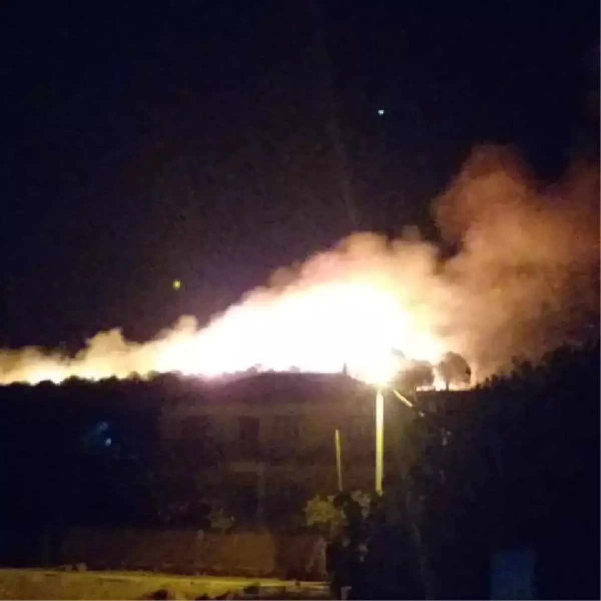 Son dakika haber: Tire'de çıkan orman yangını söndürüldü