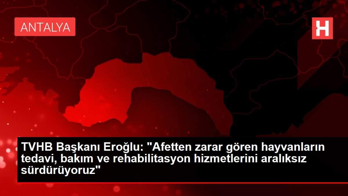 TVHB Başkanı Eroğlu: 'Afetten zarar gören hayvanların tedavi, bakım ve rehabilitasyon hizmetlerini aralıksız sürdürüyoruz'