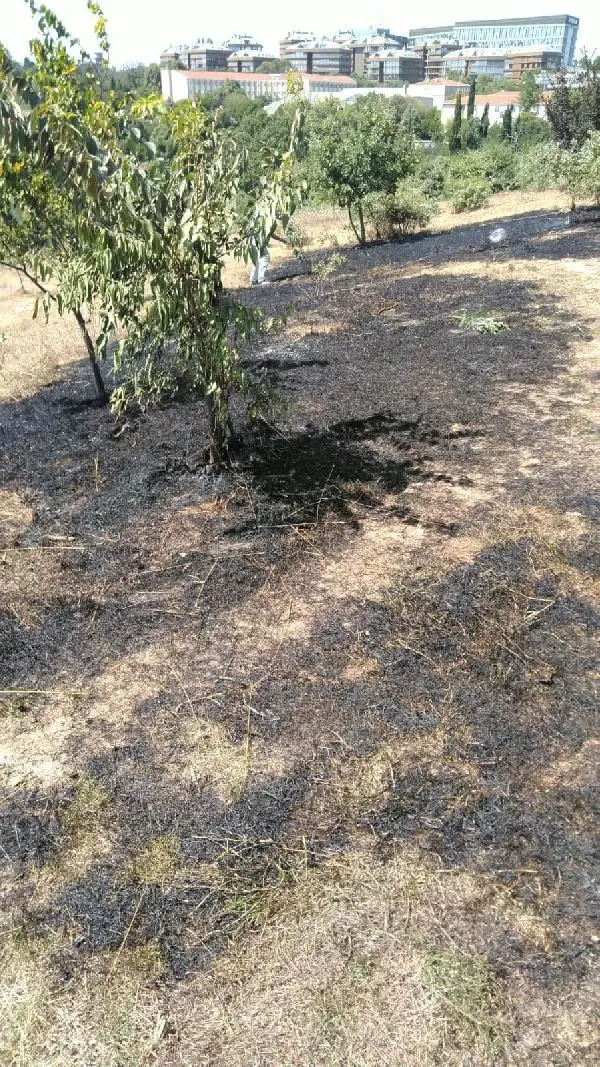 Son dakika haber&hellip; VALİDEBAĞ KORUSU�NDA TORPİL ATIP YANGIN ÇIKARDI