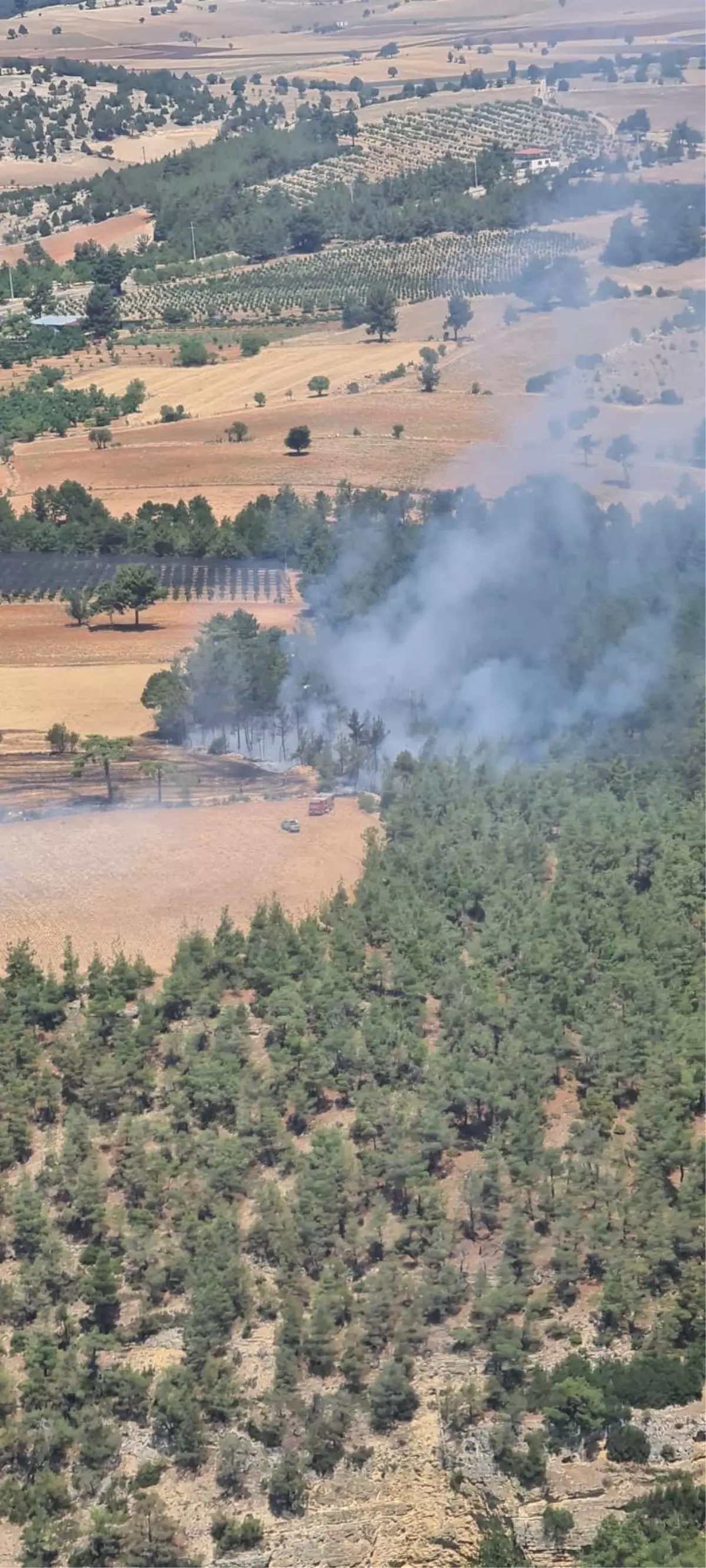 Son dakika haberleri! Denizli'de 2 dekarlık alanda etkili olan orman yangını kontrol altına alındı
