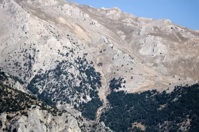 Kahramanmaraş'ta uçak kazasında grupların çalışmaları sürüyor