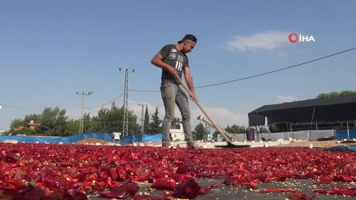 Şanlıurfa'da acı telaş - Vimarsana News