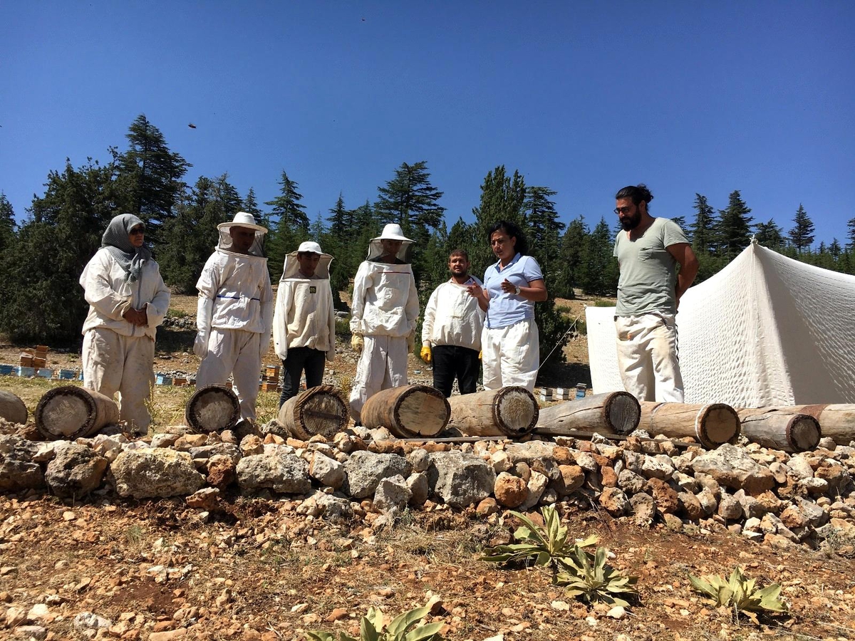 Toroslar'da Yörüklerin göç yolunda ürettiği asırlık bal yeniden üretilecek - Vimarsana News