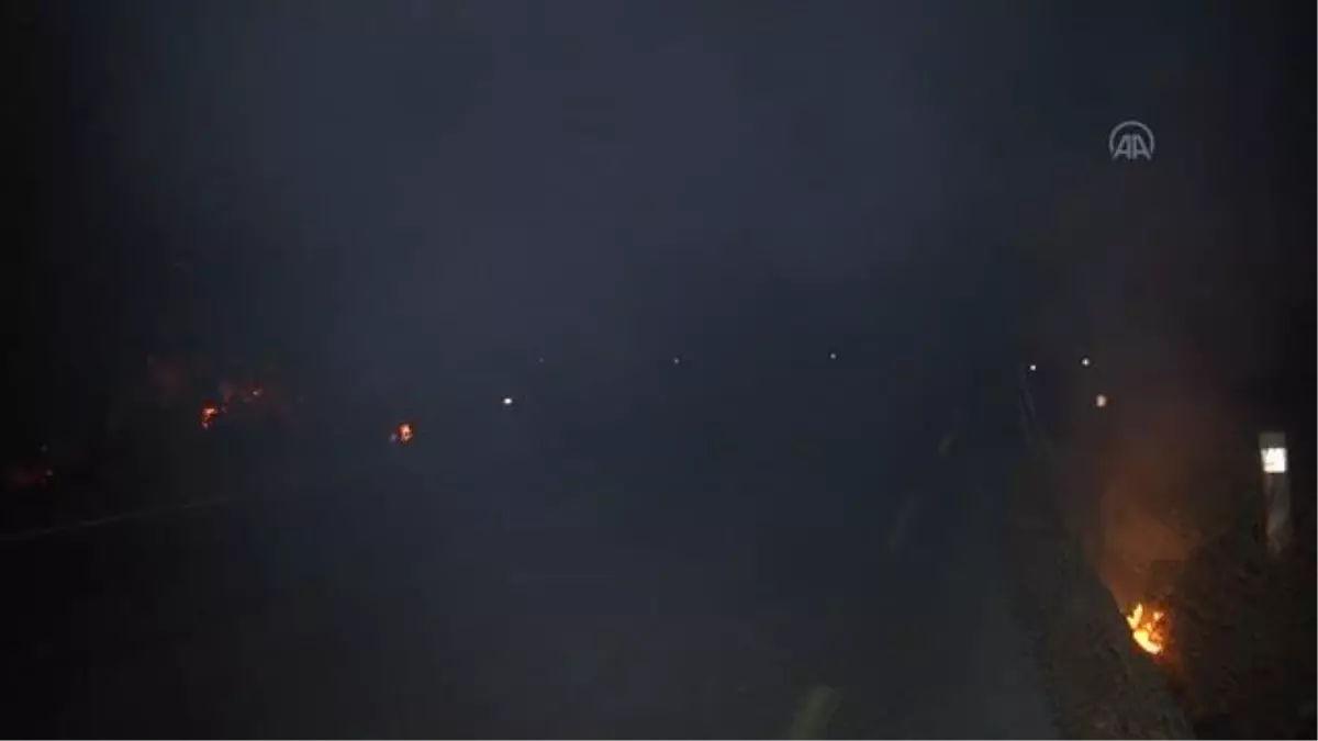 Son dakika haberleri | Tunus'taki orman yangınları sürüyor