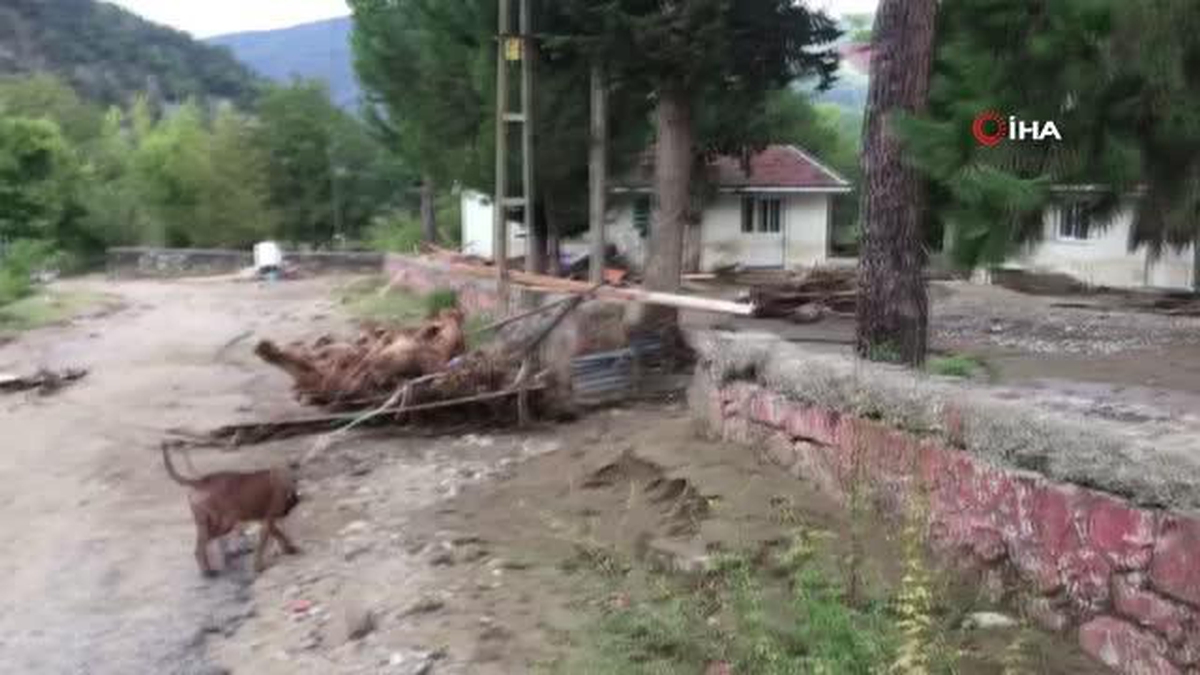 Yok olma aşamasına gelen Babaçay'da çalışmalar devam ediyor - Vimarsana News