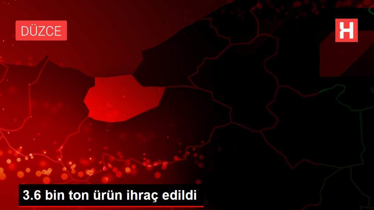 3.6 bin ton ürün ihraç edildi - Vimarsana News