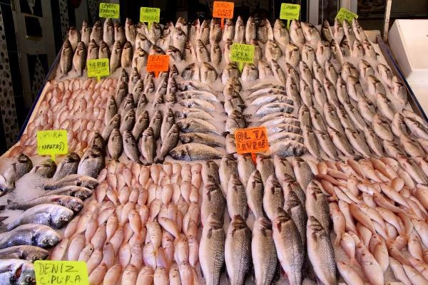 Adana'da balıkçılar 15 Eylül'de sona erecek av yasağının bitmesini bekliyor