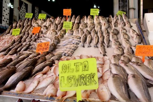 Adana'da balıkçılar 15 Eylül'de sona erecek av yasağının bitmesini bekliyor