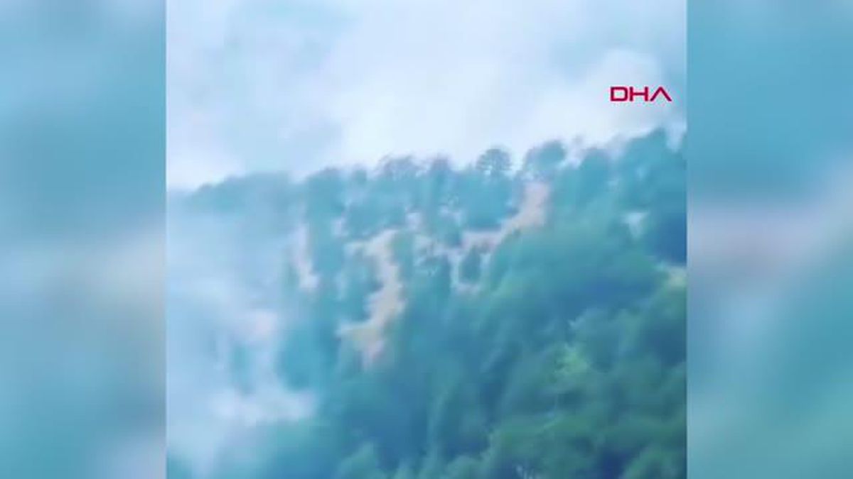 AKSEKİ'DE ORMAN YANGINI