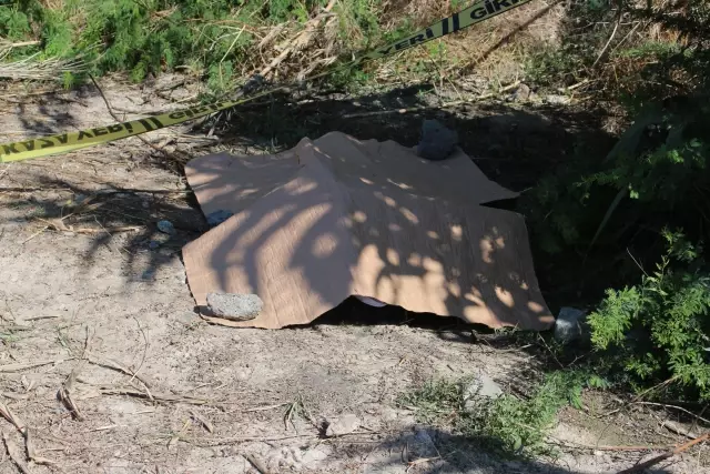 Son dakika haberi: Otomobil su kanalına devrildi: 2 ölü, 2 yaralı