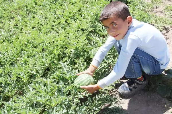KÖYDE HARİKALAR YARATAN 'ÇALI KUŞU' ÖĞRETMEN ÇİFT