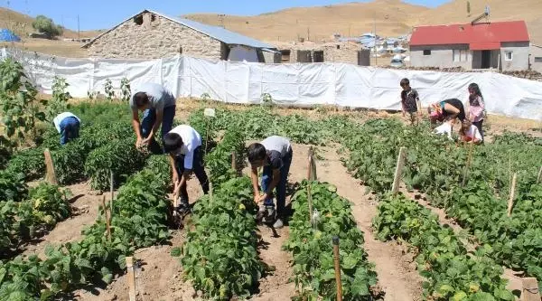 KÖYDE HARİKALAR YARATAN 'ÇALI KUŞU' ÖĞRETMEN ÇİFT