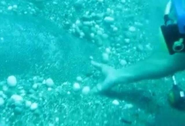 Tam 1,5 metre çapında ve 80 kilo! Nil Kaplumbağası kumların arasından zor çıkarıldı