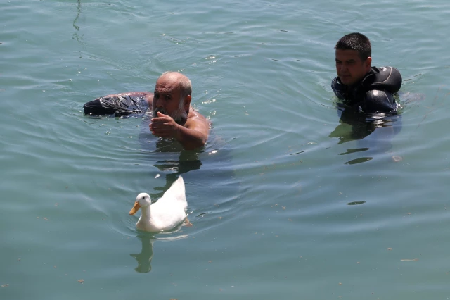 Adana'da yüzmenin yasak olduğu alanda Seyhan Irmağı'na giren kişiyi dalgıç polisler sudan çıkardı