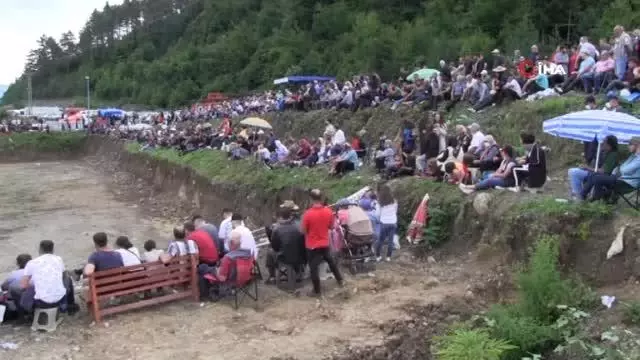 Artvin'de boğalar çamur deryasında güreşti