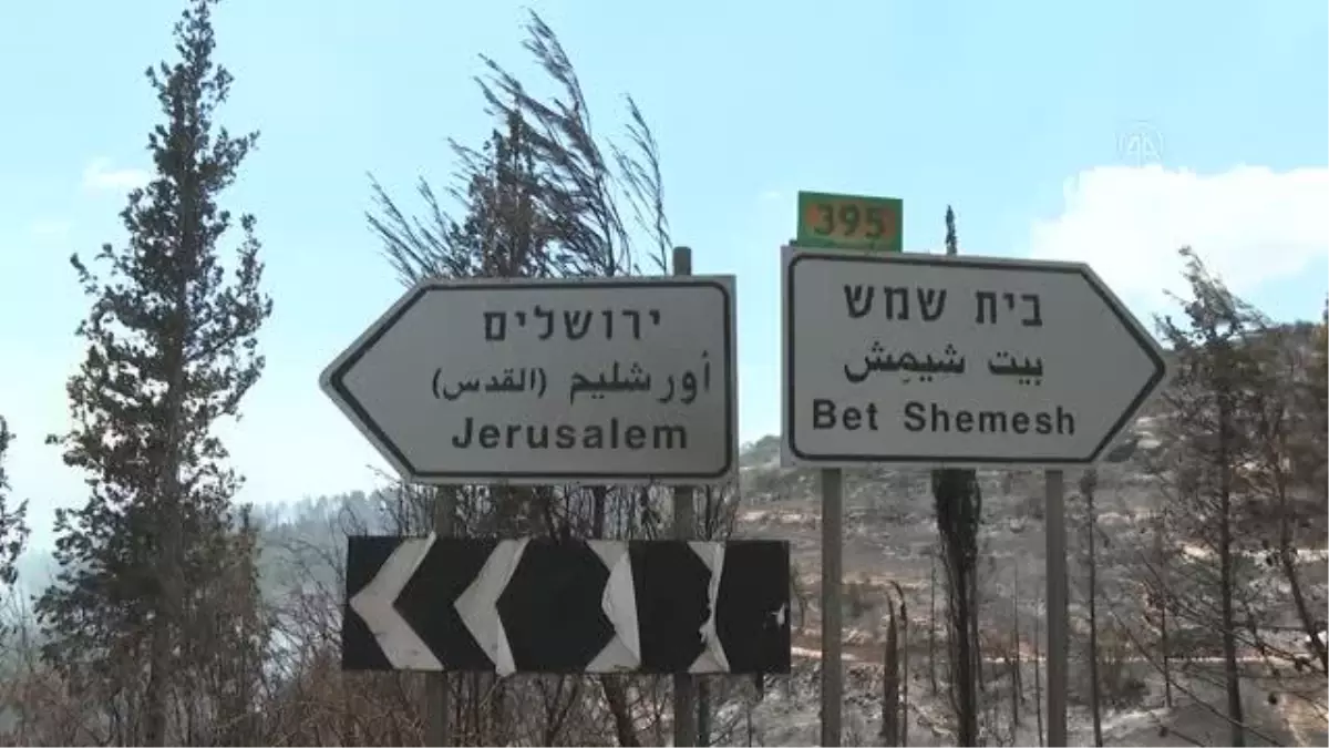 Batı Kudüs'teki ormanlık alanda çıkan yangınlar ikinci gününde devam ediyor