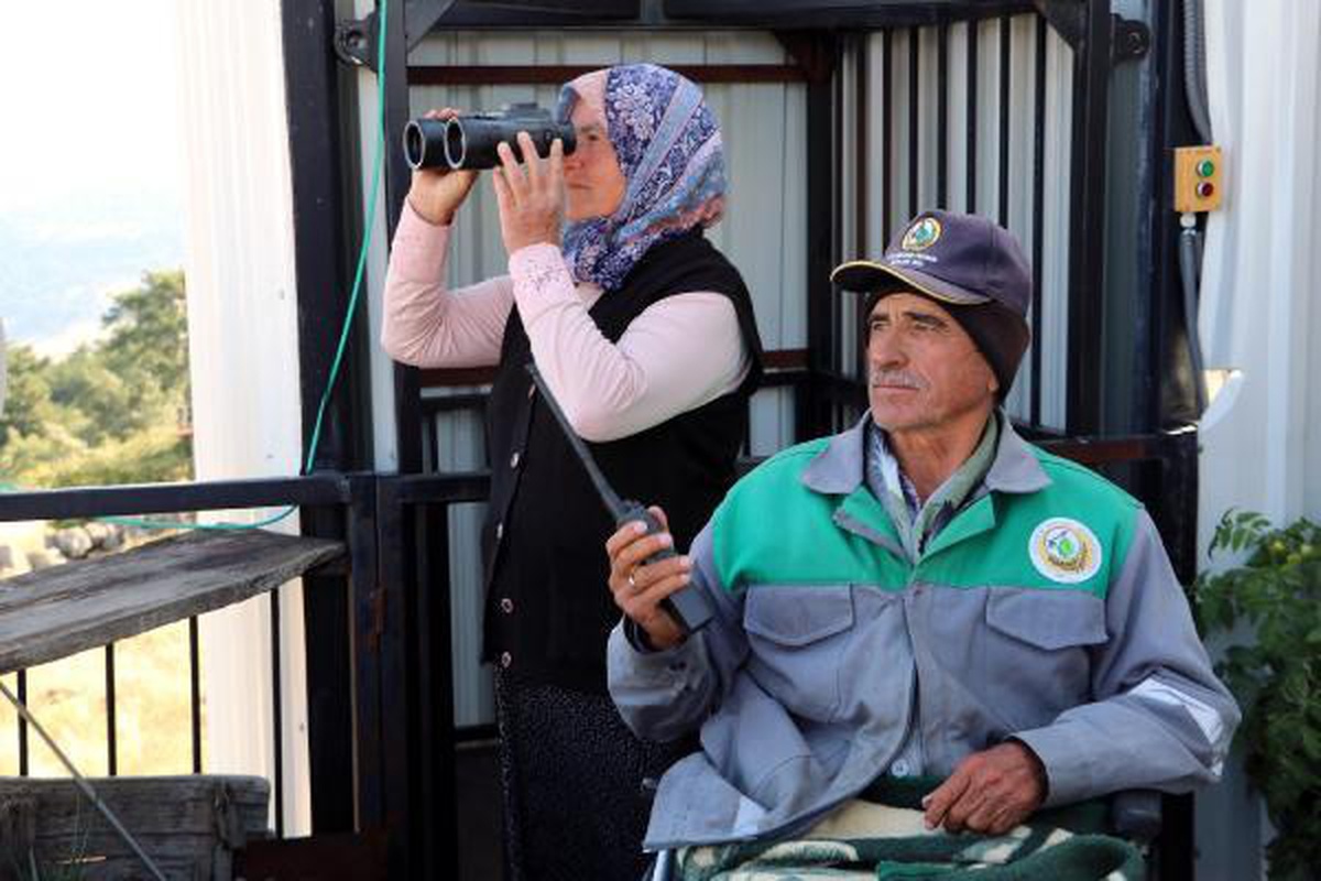Felçli ormancı, 31 yıldır tekerlekli sandalyesinden ormanları gözetliyor - Vimarsana News