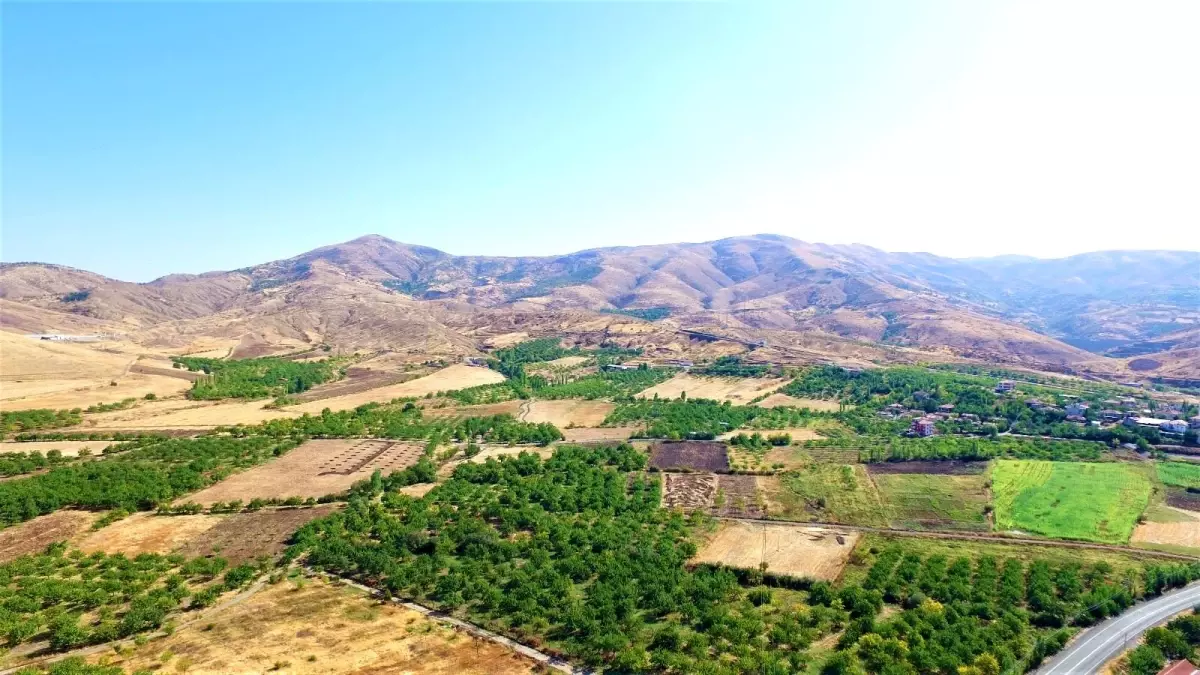 Malatya'da yapımı tamamlanan Yaygın Göleti, ekonomiye yılda 3 milyon lira katkı sağlayacak