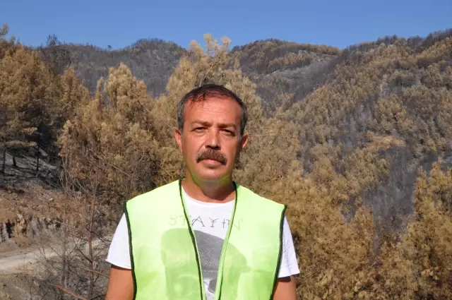 Yanan ormanlık alanlarda ekolojik tespit çalışması başlatıldı