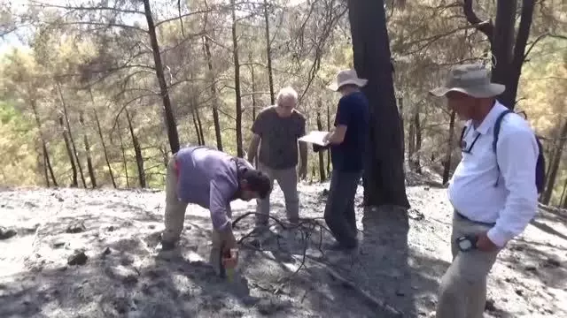Yanan ormanlık alanlarda ekolojik tespit çalışması başlatıldı