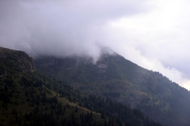 Ardahan-Artvin arasındaki tepelerde oluşan sis güzel manzaralar oluşturdu