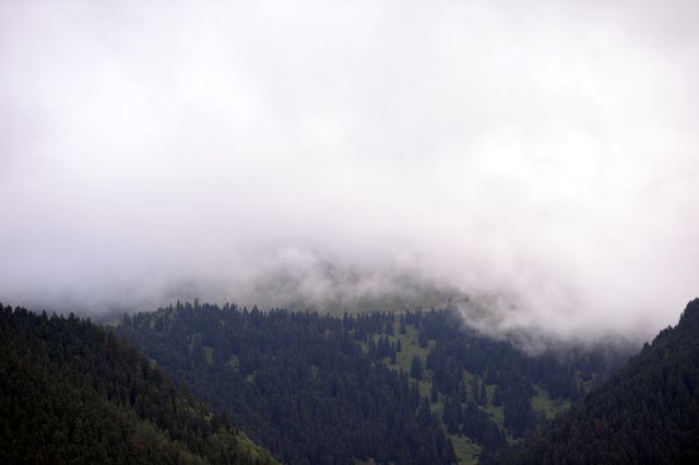Ardahan-Artvin arasındaki tepelerde oluşan sis güzel manzaralar oluşturdu