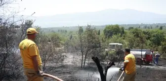 Çakırlı: Son dakika haberi: Bursa'da ormanlık alana yakın bölgede çıkan yangın söndürüldü Çakırlı: Son dakika haberi: Bursa'da ormanlık alana yakın bölgede çıkan yangın söndürüldü