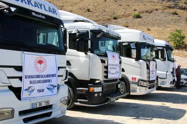 Elazığ'dan 18 kente 12 milyon yavru sazan balığı gönderildi