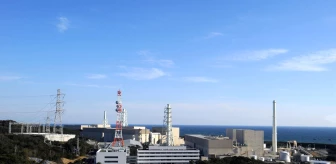 Japonya'da nükleer santralde yangın paniği