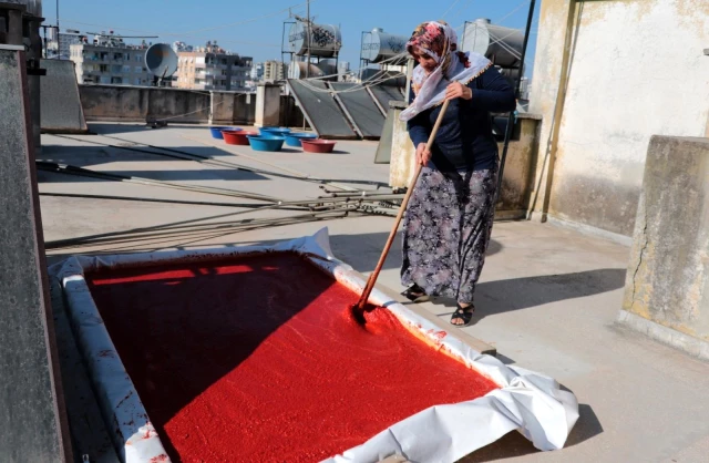 Salça döneminin başladığı Adana'da damlar kırmızıya boyanıyor