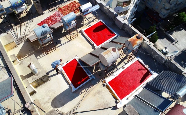 Salça döneminin başladığı Adana'da damlar kırmızıya boyanıyor