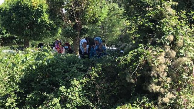 traktor devrildi surucu olu bulundu 2 14337057 o