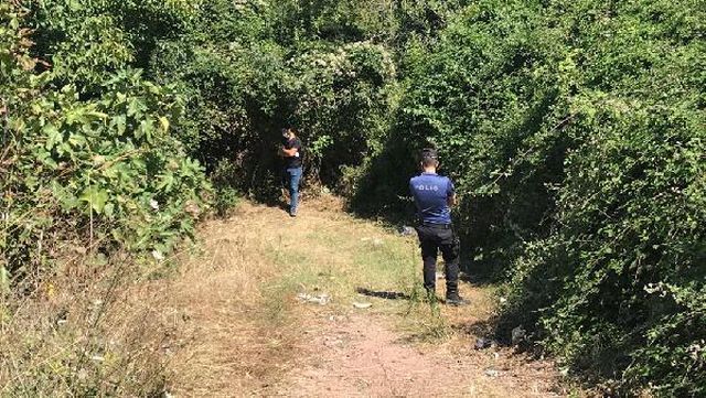 traktor devrildi surucu olu bulundu 3 14337057 o