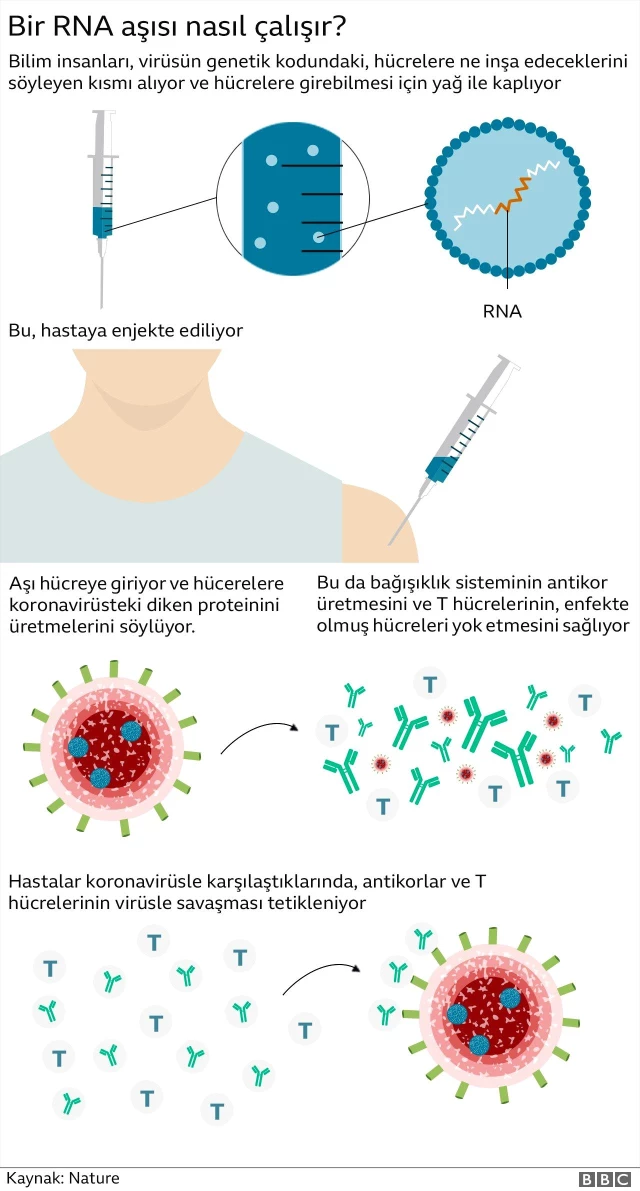 Türkiye'de 4. doz aşı kararı: Neden muhtaçlık duyuldu, uzmanlar ne diyor?