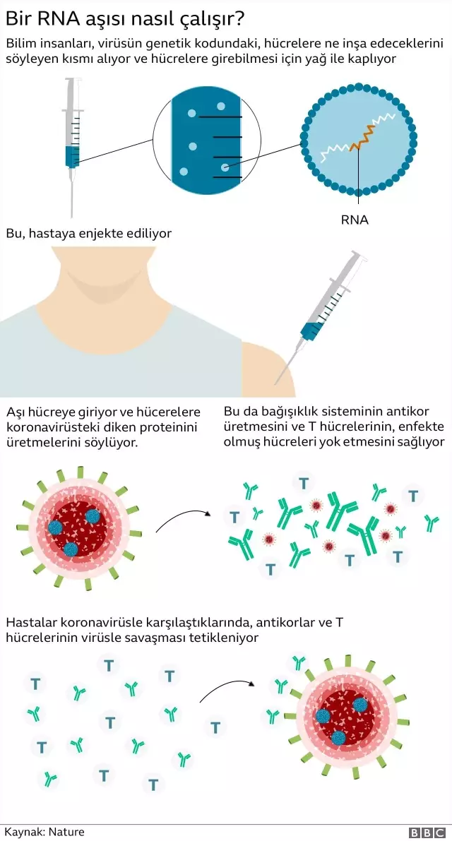 Türkiye'de 4. doz aşı kararı: Neden muhtaçlık duyuldu, uzmanlar ne diyor?