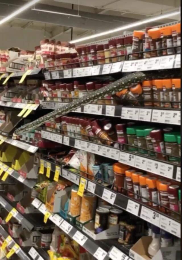 Alışveriş yaparken raftan 3 metrelik yılan çıktı! Süpermarket tahliye edildi