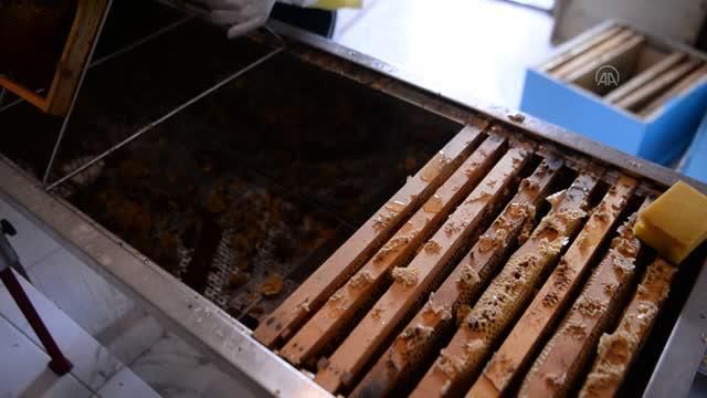 Arıcı kız kardeşlerin Ardahan çiçek balı sağımı, kuraklık nedeniyle buruk geçiyor