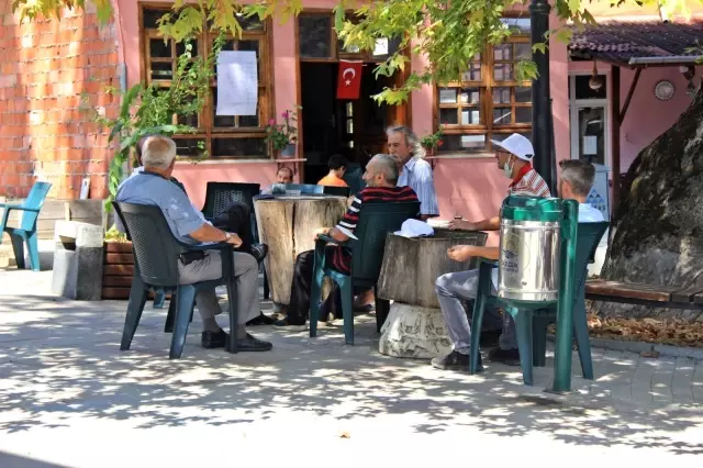 Bin 231 yıllık anıt çınar, bunaltıcı havalarda köylünün kliması oldu