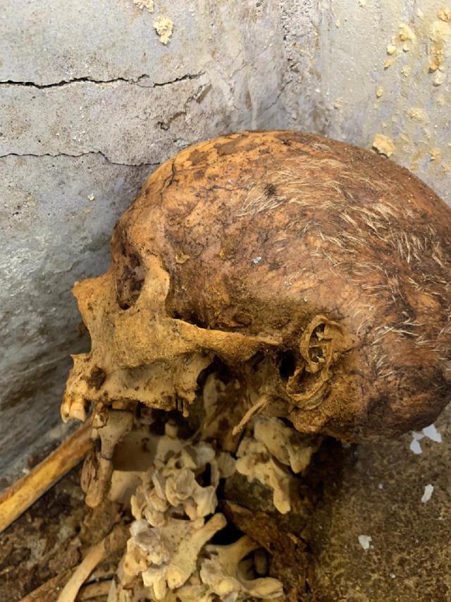 Hafriyat yapan arkeologlar büyük sevinç yaşadı! Pompeii'de saçları ve kulağı duran insan kalıntısı bulundu
